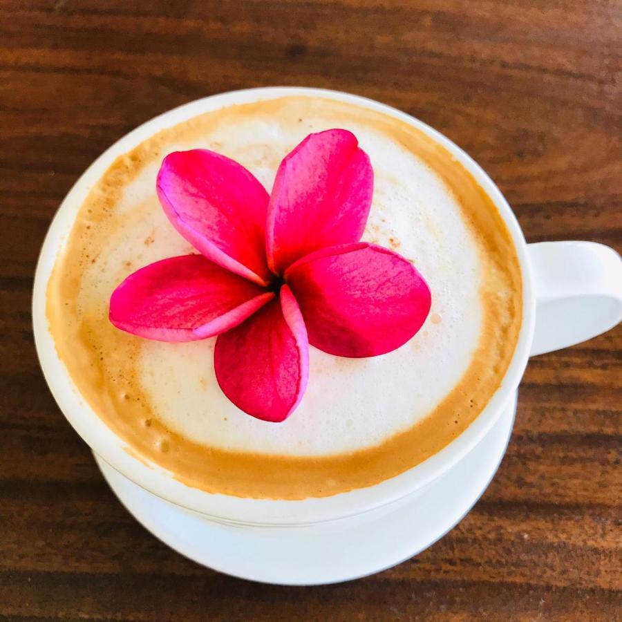 파보네스 Cafe De La Suerte 빌라 외부 사진